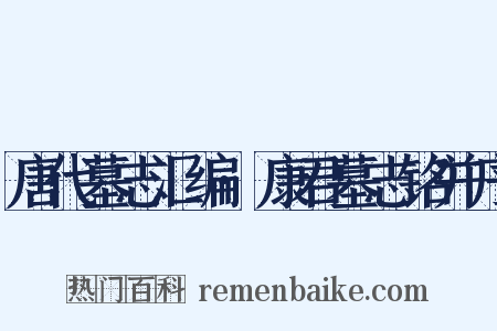 唐代墓志汇编·康君墓志铭并序是什么意思的图片